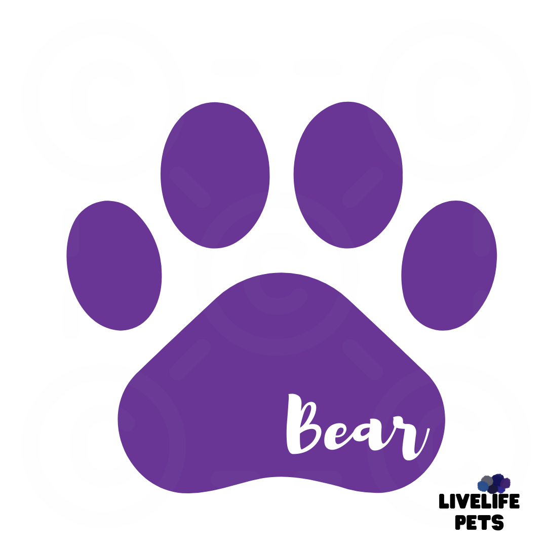 Paw Print Sticker- Personalized Decal